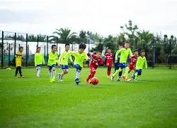 中山体彩连,续五年编制,社会责任年,188金宝博官网,188bet金宝博,188bet备用网址,188金宝博官网